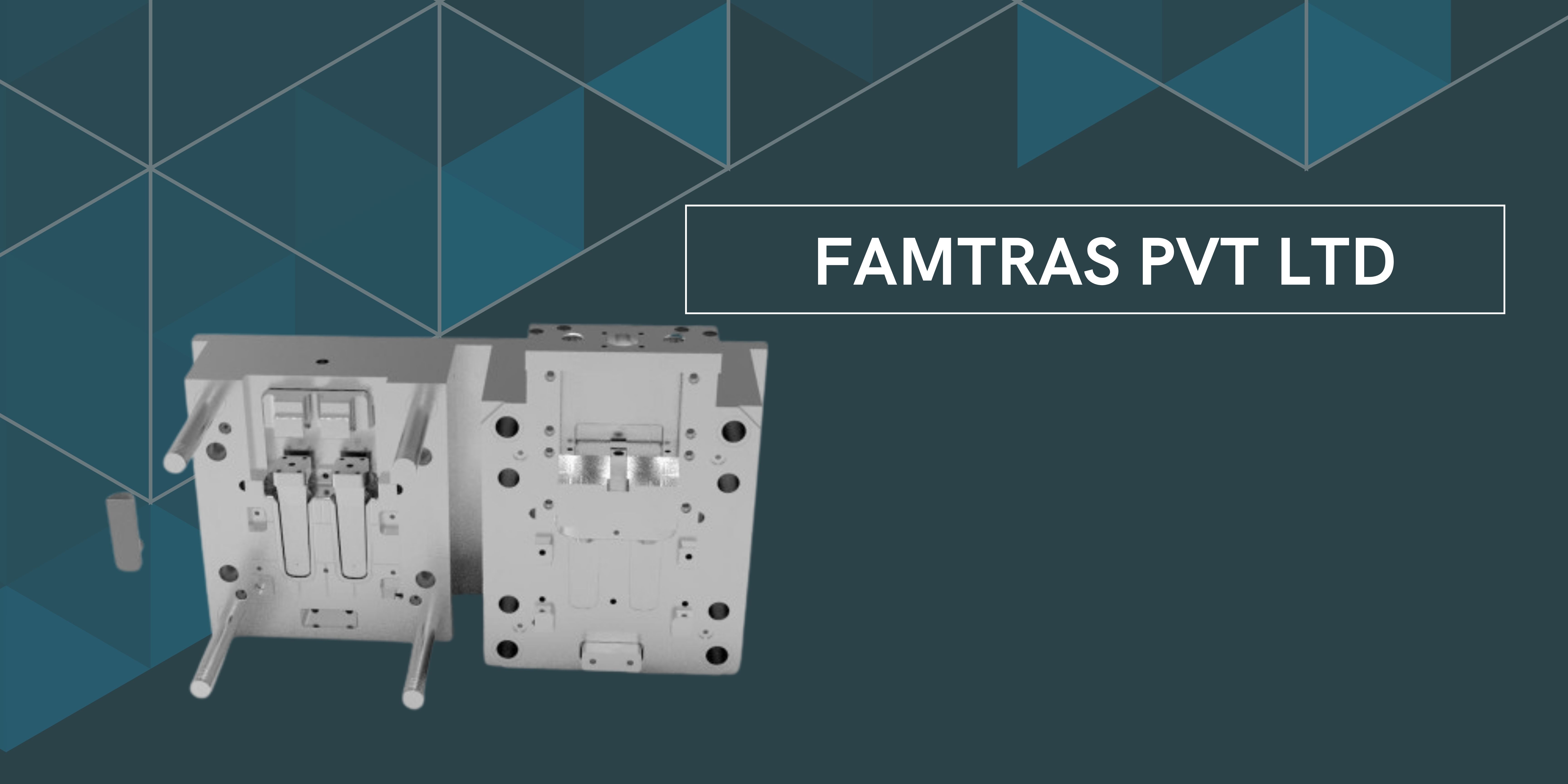 Famtras pvt ltd - 